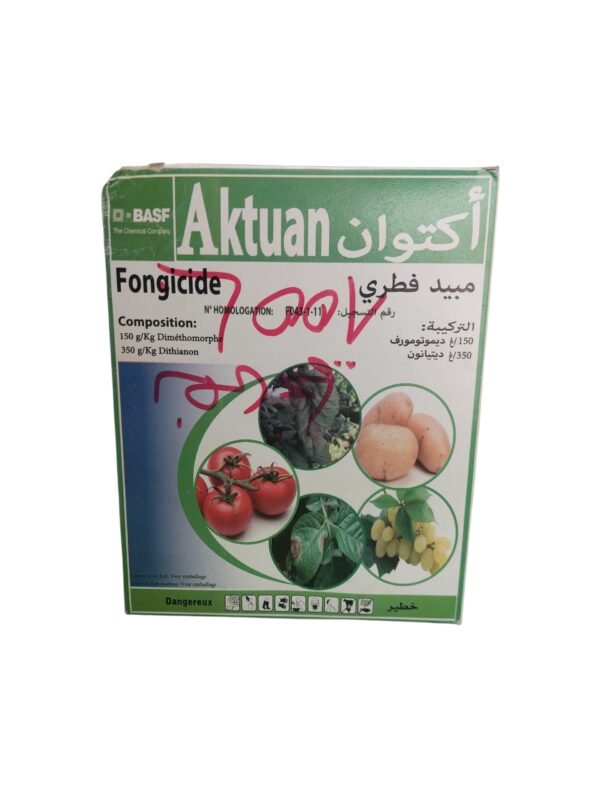 1767367834_1000113768 AKTUAN