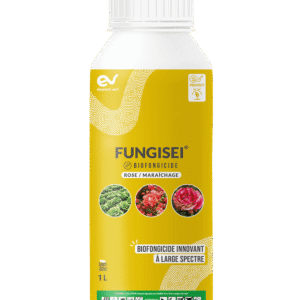 FUNGISEI
