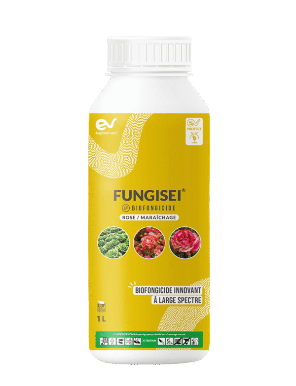 FUNGISEI