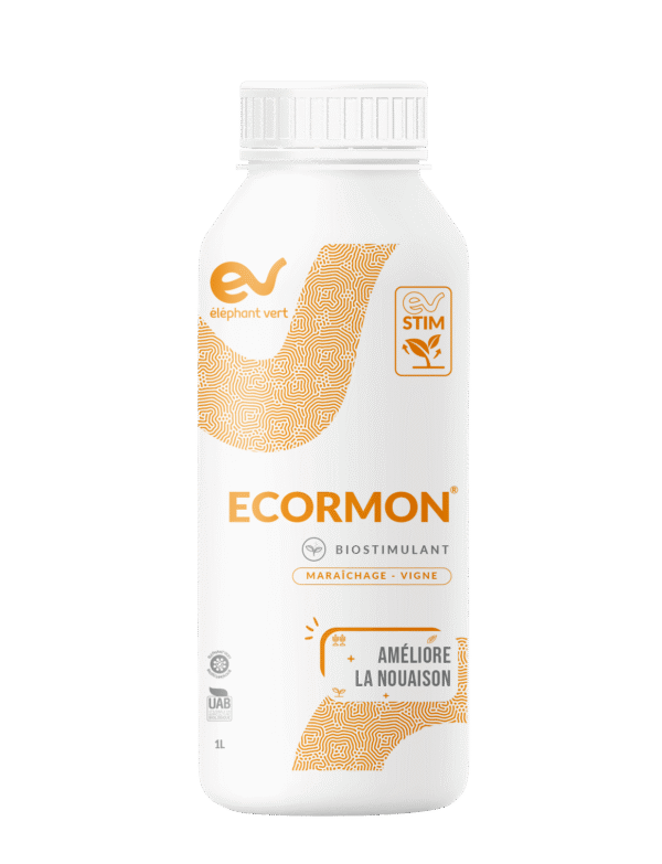 ECORMON