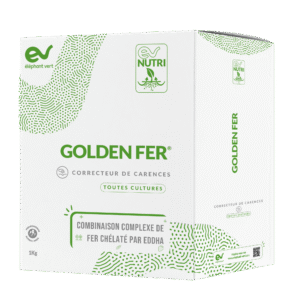 GOLDEN FER