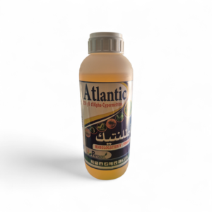 ATLANTIC en 1l